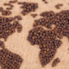 Origin Of Taste: Why Your Coffee Tastes So Great Origin-Of-Taste-Camano