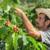 Bringing American Dream to Honduras Through Land Reform alonso-pineda-coffee-farming-web