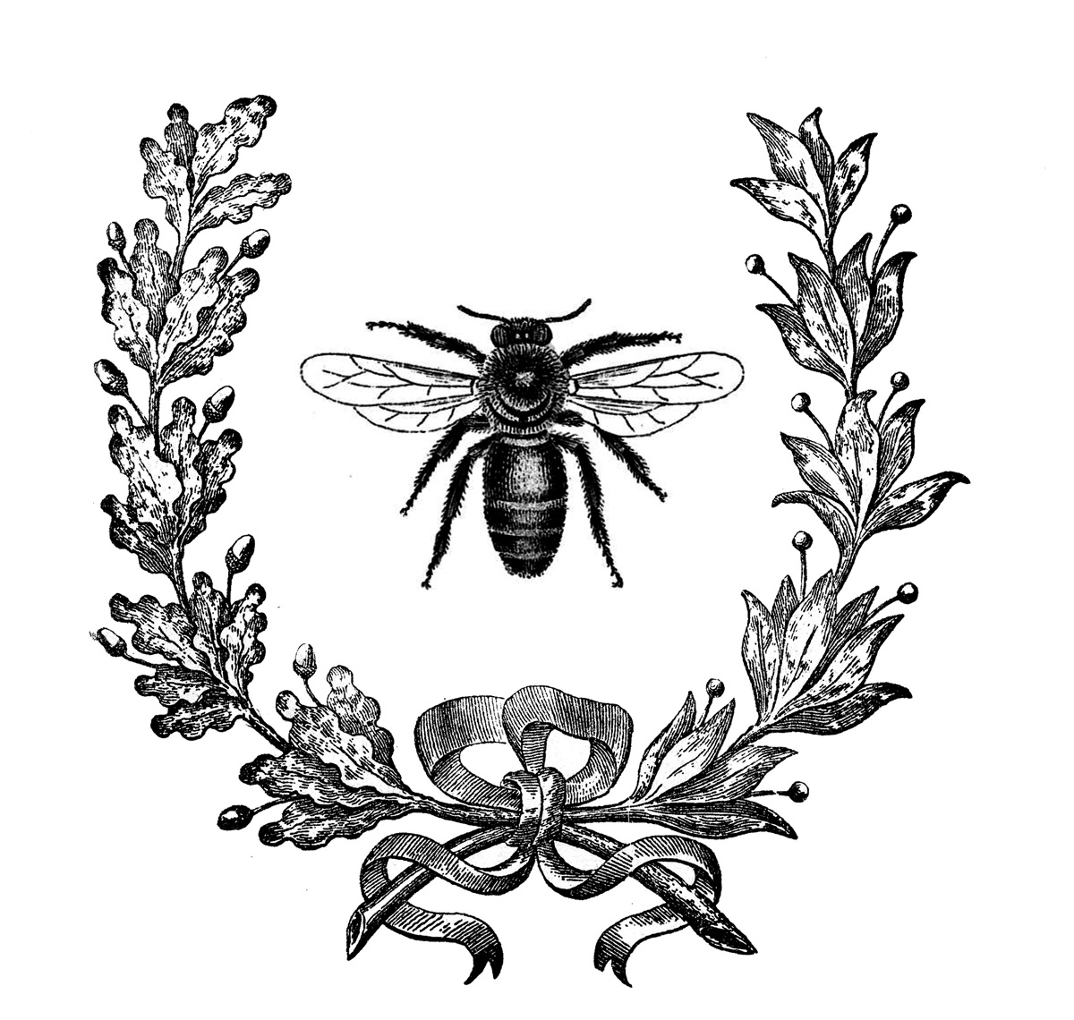 Bloom Wellness LTD